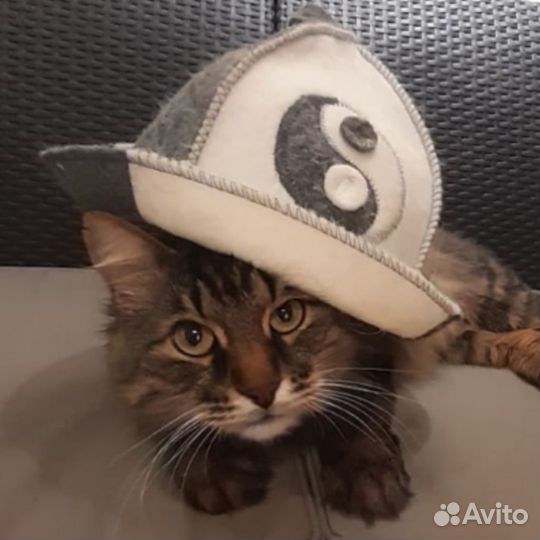 Лежанка для собак и кошек