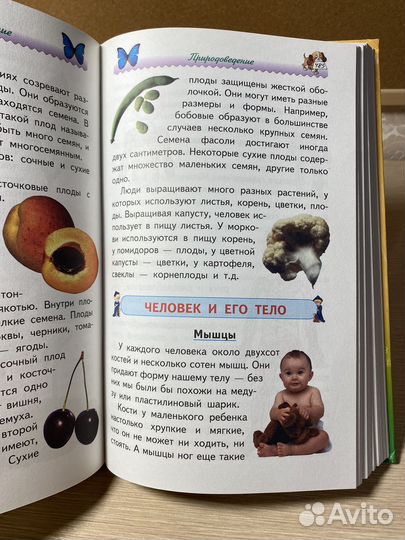 Энциклопедия для начальной школы. Учебник