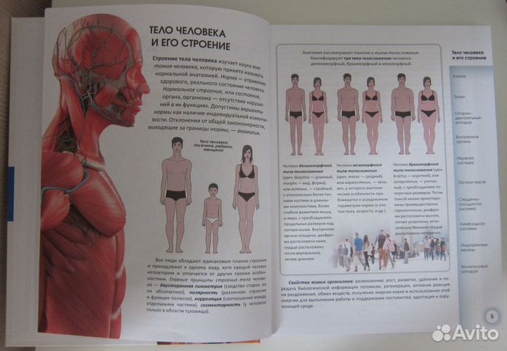 Популярный атлас анатомии человека