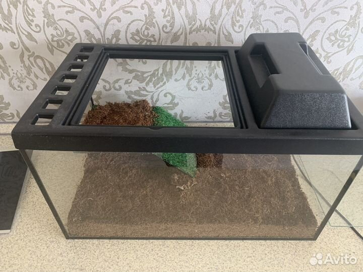 Террариум для рептилий бу