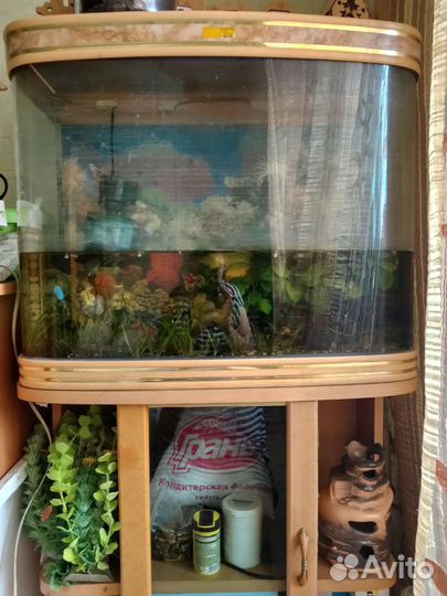 Аквариум