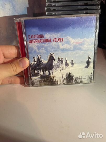 Диск catatonia international velvet