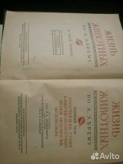 Книга жизнь животных