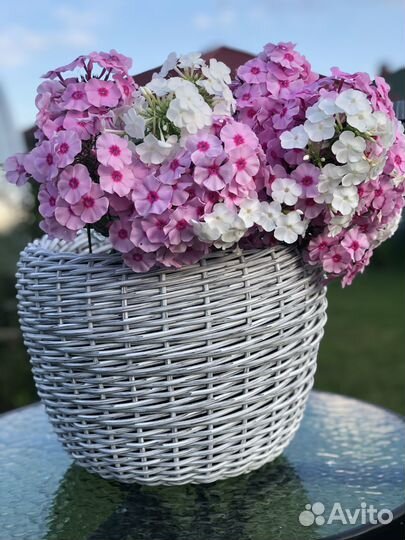 Кашпо для цветов