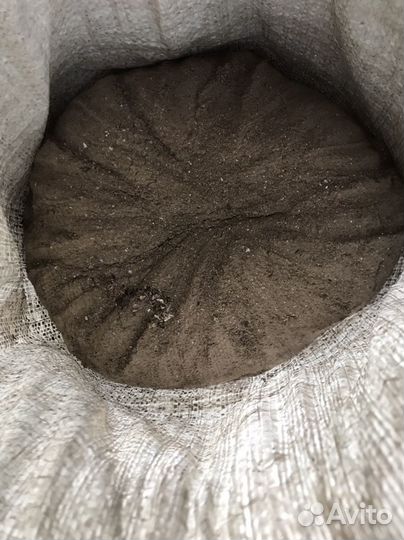 Березовая зола