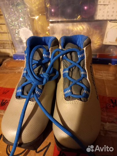 Лыжные ботинки