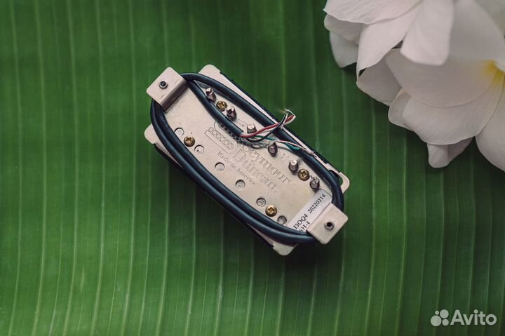 Seymour Duncan SH-4 JB - Zebra