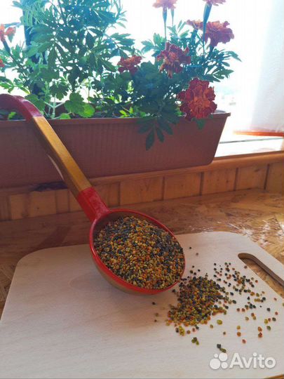 Пыльца пчелиная со своей пасеки в Башкортостане