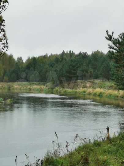 Участок 31,8 га (промназначения)