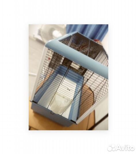 Клетка для птиц Ferplast Piano 4, 59*33*55 см