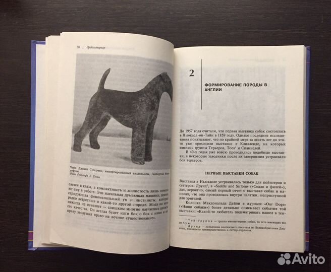 Книга Эрдельтерьер