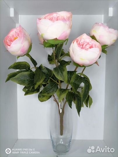 Букет крупных пионов