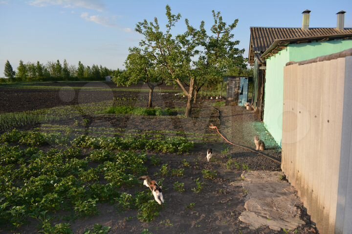 Дом 160 м² на участке 15 сот.