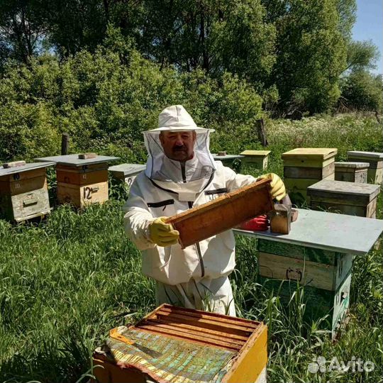 Продаю мед