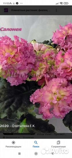 Детки фиалок