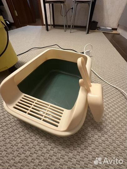 Лоток, миски, когтеточка для кота