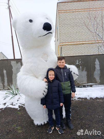 Белый мишка