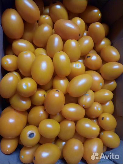 Томат в ассортименте