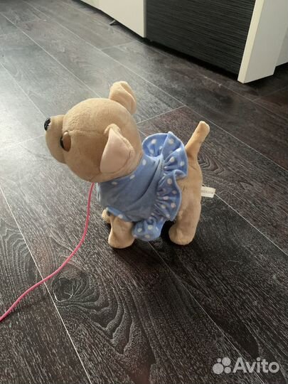 Поющая собака