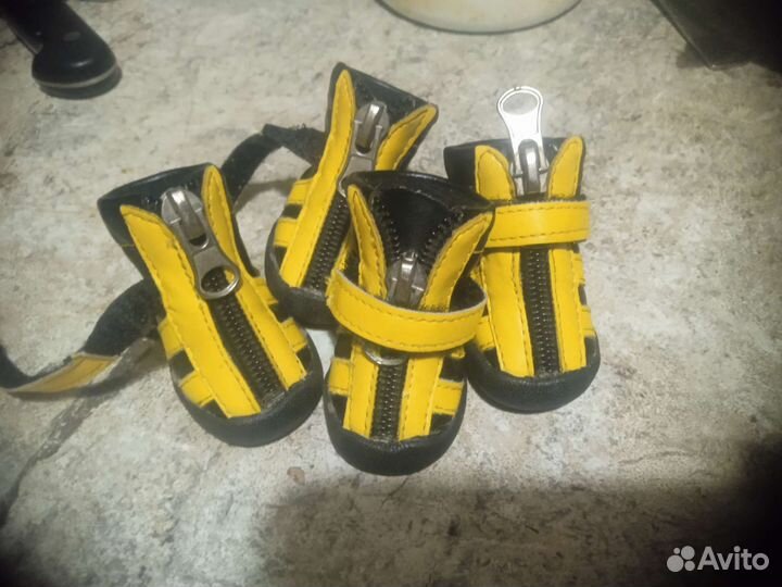 Одежда для маленьких собак