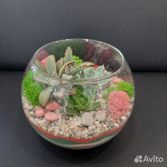 Флорариум 