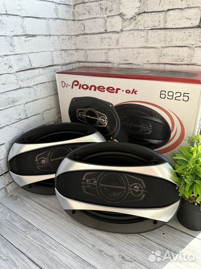 Динамики pioneer овалы
