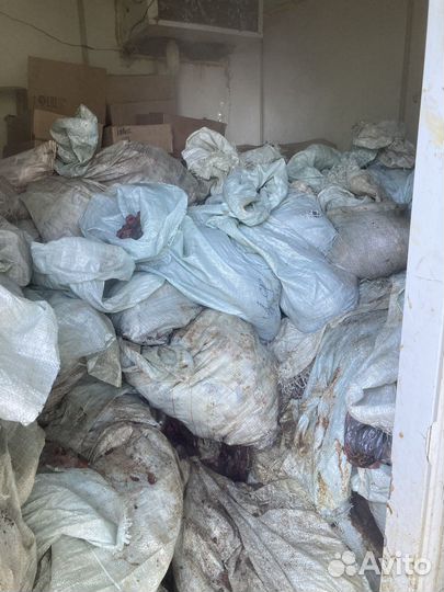 Рыбные отходы