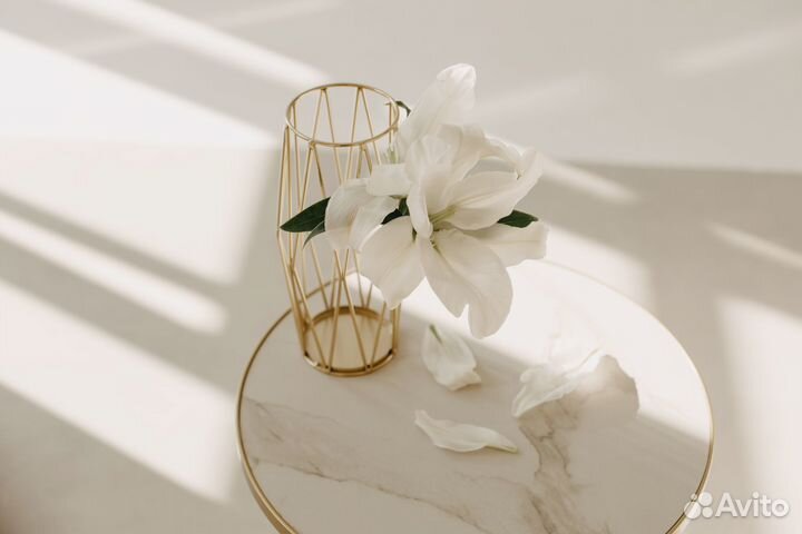 Фотостудия Level 100 в аренду