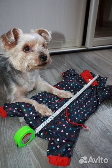 Комбинезон зимний для собак