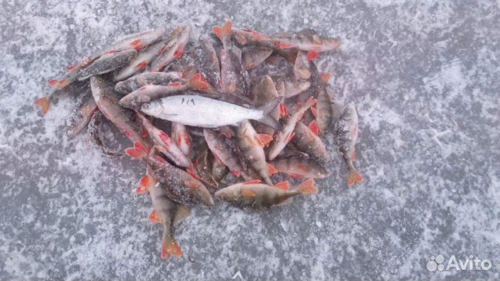 База отдыха/Рыбацкое озеро в Челябинской.обл