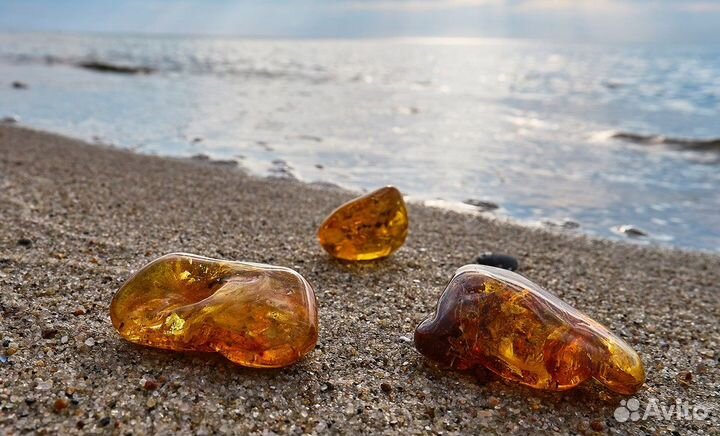 Путевки на Запад России на 7 дней