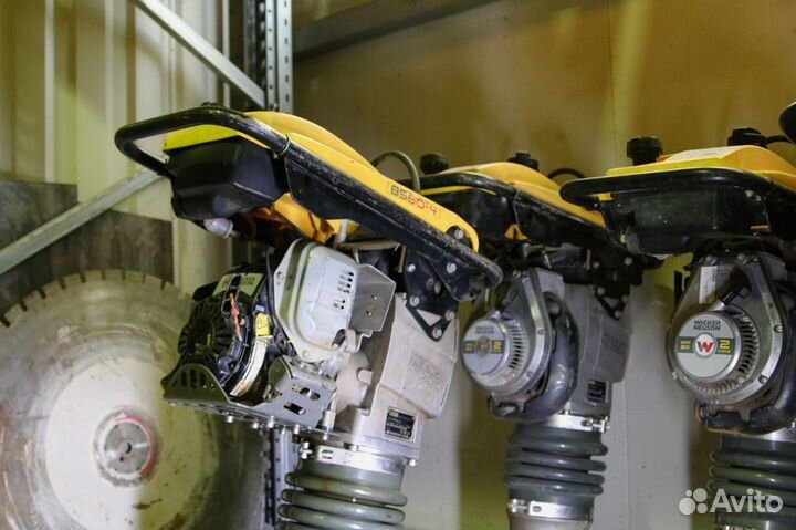 Вибротрамбовки Wacker Neuson в аренду