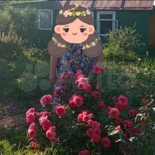 Дача 45 м² на участке 6 сот.