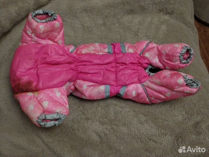 Комбинезон на маленькую собачку