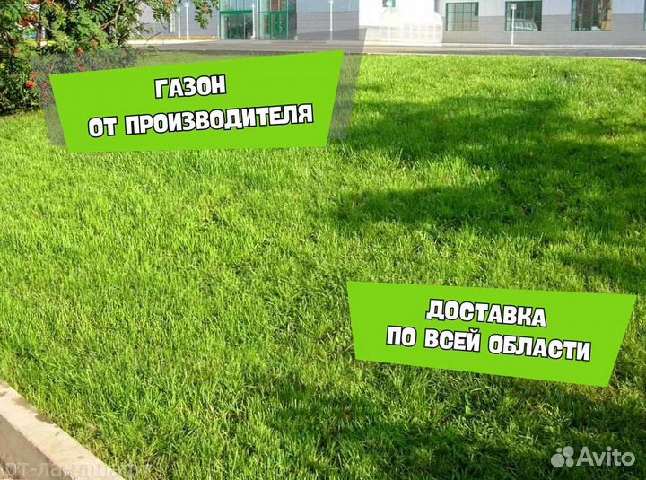 Газон. Рулонный газон