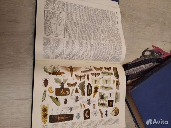 Энциклопедический словарь СССР