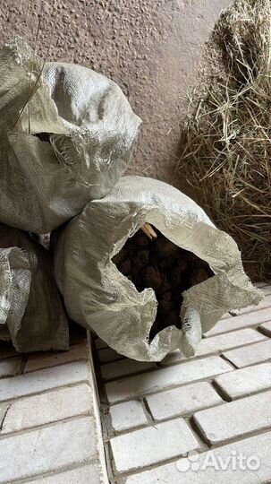 Перегной в мешках конский