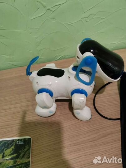 Развивающая гусеница и интерактивная собачка