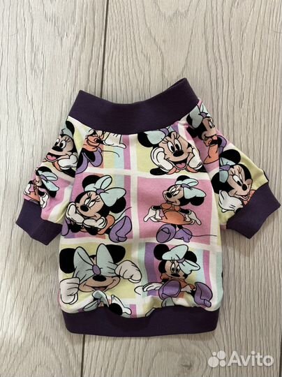 Одежда для собак