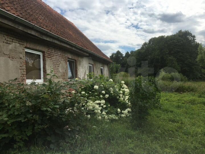 Дом 200 м² на участке 3,42 га