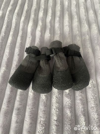 Носочки для собак