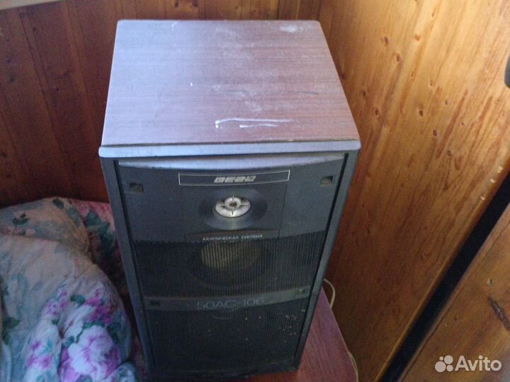 Колонки Вега 50ас 106