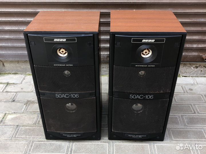 Акустика колонки Вега 50 ас-106