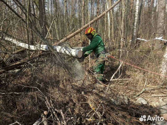 Спил деревьев расчистка участка корчевание пней