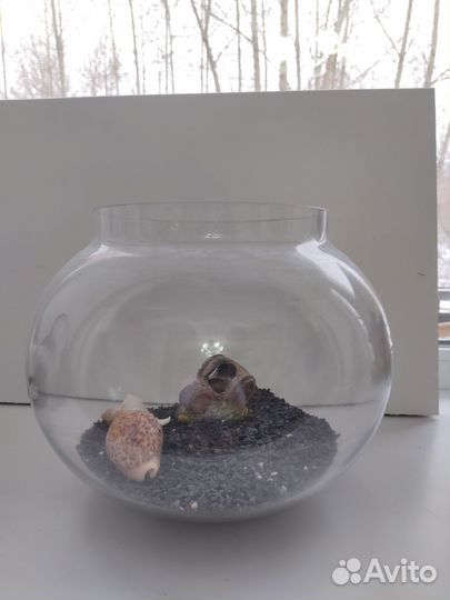 Аквариум 10 литров