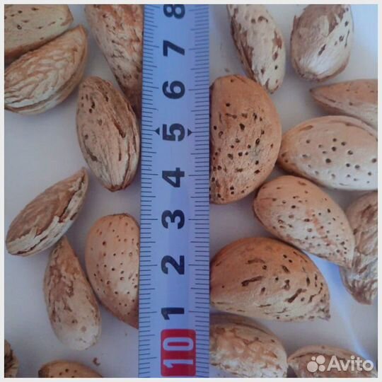 Миндаль семена Амаретто