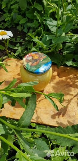 Мед цветочный целебный натуральный