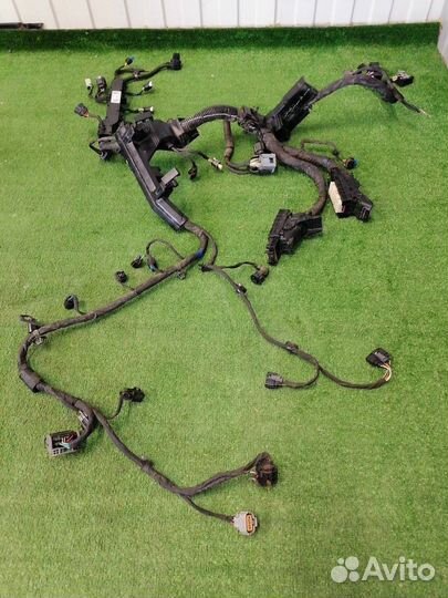 Проводка двигателя Kia K5 DL3 G4KN 2.5 2021