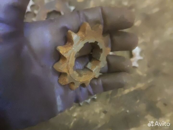 Ведущая звезда Иж