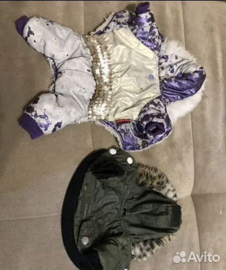 Одежда для маленькой собачки